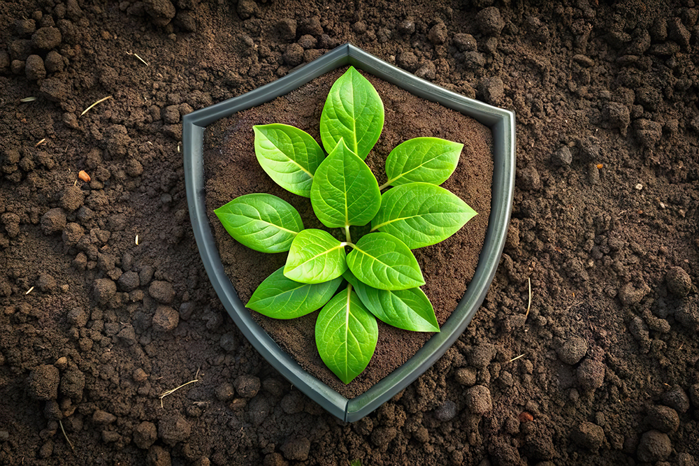 Soil protection challenges