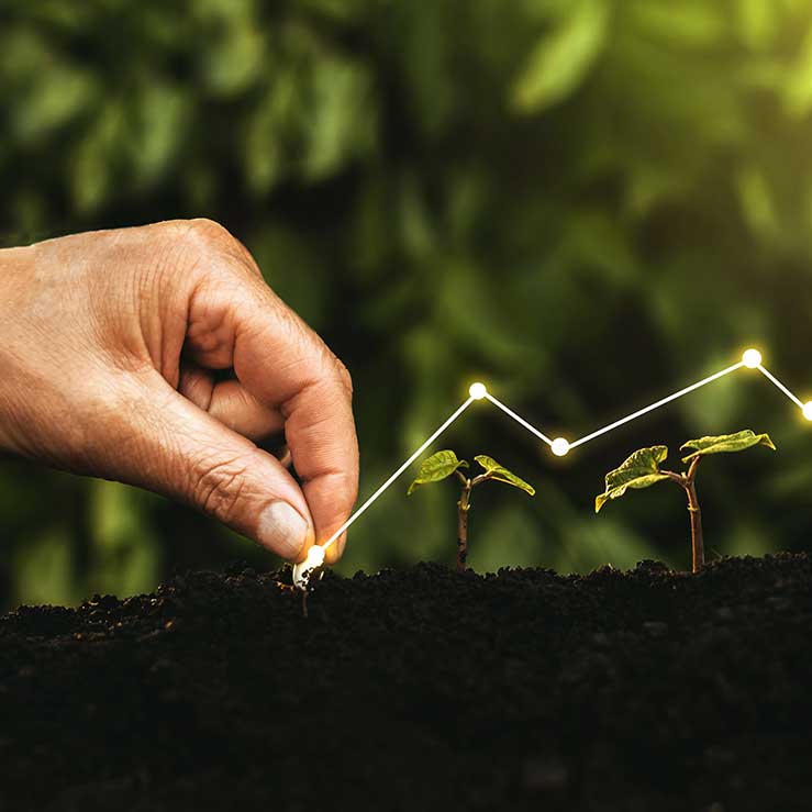 The ground under our feet