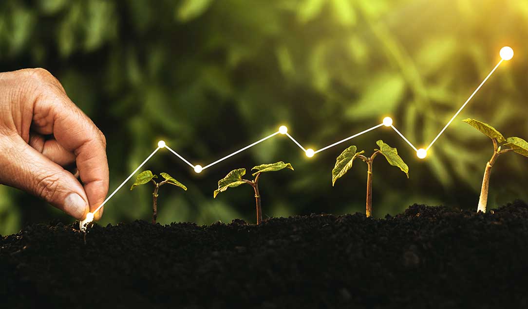 Der Boden, auf dem wir stehen