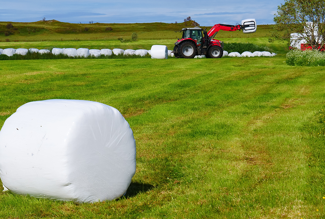 Film-covered round bales in a field. In the background there is a tractor.