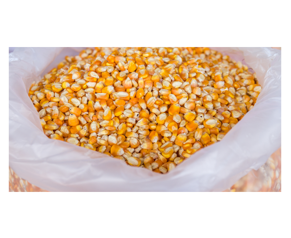 An open bag of corn.