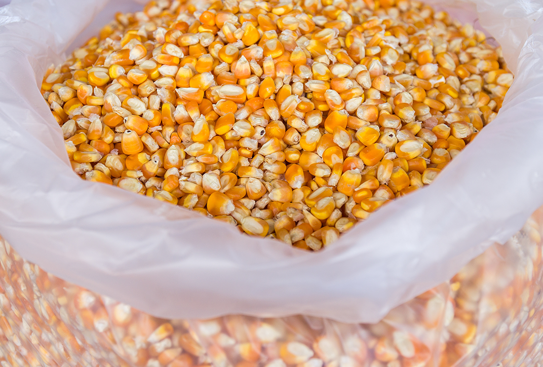 An open bag of corn.