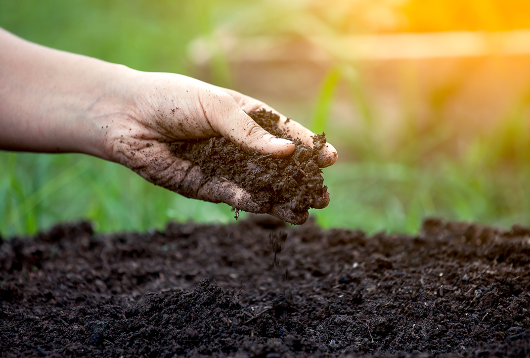 A hand crumbling soil.