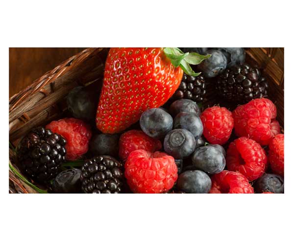 A basket with strawberries, raspberries, blackberries and blueberries.