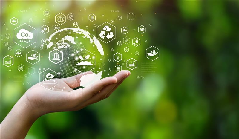 Sustainability Fibres Underdevelopment